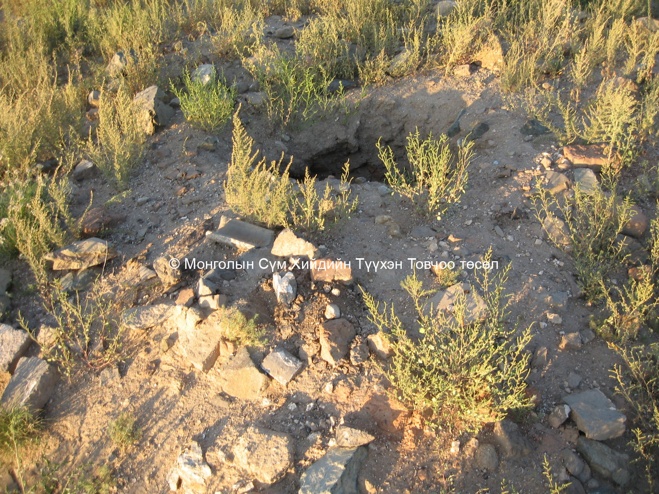 Баруун-Өмнөд талаас авсан